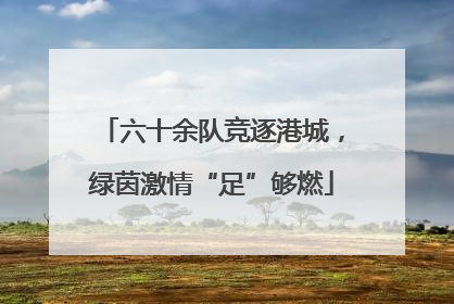 六十余队竞逐港城，绿茵激情“足”够燃